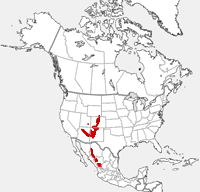 Mapa da distribuição do esquilo de Abert
