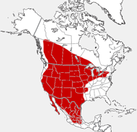 Mapa de la distribución del tejón americano