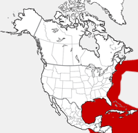 distribution map showing range of Stenella frontalis in North America