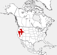 Belding's Ground Squirrel distribution map