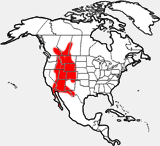 Bighorn Sheep distribution map