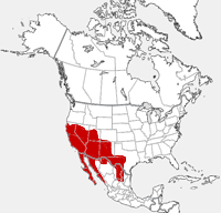 Botta's Pocket Gopher distribution map