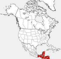 Carte de distribution de Cacomistle