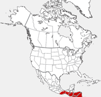 Common Caiman distribution map