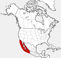 California Sea Lion distribution map