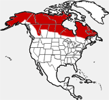 Carte de distribution de caribou