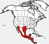 Collared Peccary distribution map