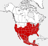 distribution map showing range of Urocyon cinereoargenteus in North America