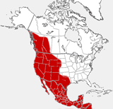 Mapa de la distribución del puma