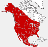 Coyote distribution map