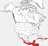 American Crocodile distribution map