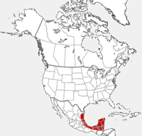 Morelet's Crocodile distribution map