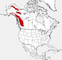 Dall's Sheep distribution map