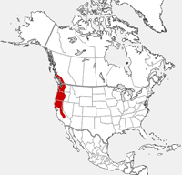carte de distribution montrant la gamme du douglasii de Tamiasciurus dans Amérique du Nord