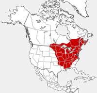 Mapa da distribuição do Chipmunk oriental