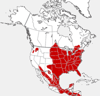 Eastern Cottontail distribution map