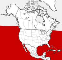 Mapa falso de la distribución de la ballena de asesino