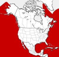 Fin Whale distribution map