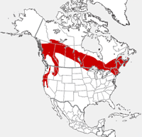 Mapa de la distribución de Fisher