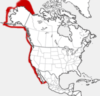 Gray Whale distribution map