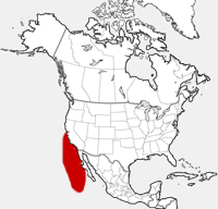 distribution map showing range of Arctocephalus townsendi in North America