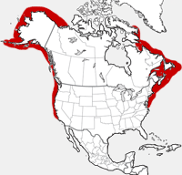 Harbor Porpoise distribution map