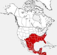 distribution map showing range of Sigmodon hispidus in North America