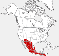 Hooded Skunk distribution map