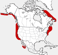 Humpback Whale distribution map