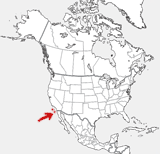Island Gray Fox distribution map