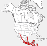 Mapa de la distribución del Jaguarundi