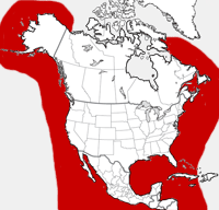 Mapa de la distribución de la ballena de asesino