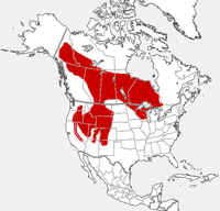 Menos mapa da distribuição do Chipmunk