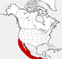 Mapa de pico largo de la distribución del delfín común