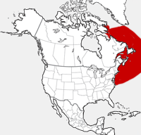 distribution map showing range of Globicephala melas in North America