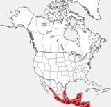 distribution map showing range of Leopardus weidii in North America