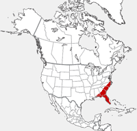 Marsh Rabbit distribution map