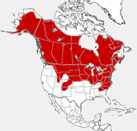 distribution map showing range of Microtus pennsylvanicus in North America