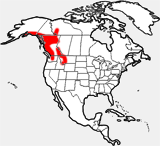 Mountain Goat distribution map