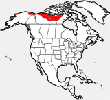 Muskox distribution map