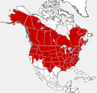 Muskrat distribution map
