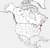 New England Cottontail distribution map