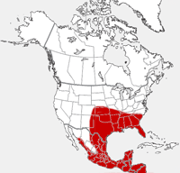 distribution map showing range of Dasypus novemcinctus in North America