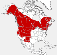 distribution map showing range of Erethizon dorsatum in North America