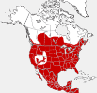 Carte nordique de distribution de raton laveur