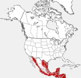 Mapa de la distribución del Ocelot