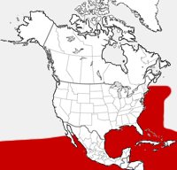 distribution map showing range of Stenella attenuata in North America