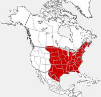 Carte de distribution de batte rouge