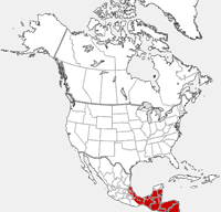 Carte rouge de distribution de Brocket