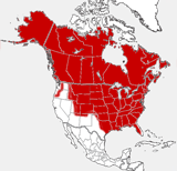 Red Fox distribution map